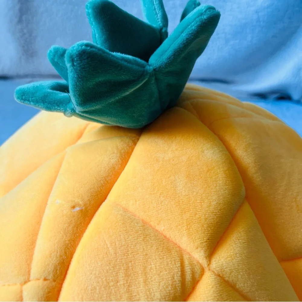Pineapple Small Pet Bed (NWOT)